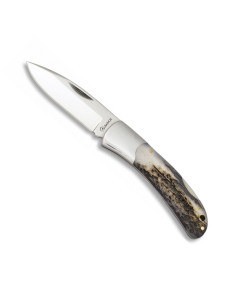 Couteau de chasse Cerf Albainox (18 cm.)
