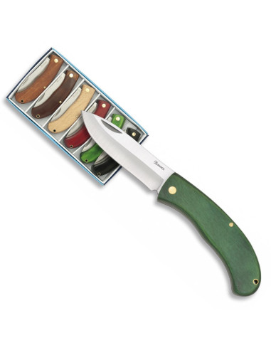 Coffret de 6 couteaux de marque Albainox (16,5 cm.)