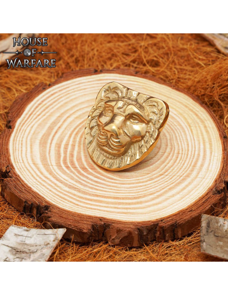 Décoration tête de lion en laiton
