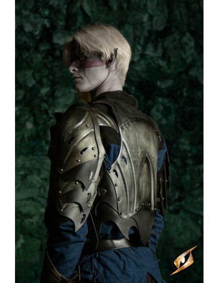 Plastron d'Elfe Noir avec Dossier de...