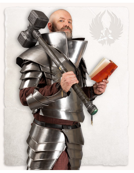 Épaulières d'armure Vigor en acier