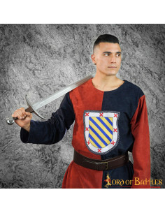Bouclier héraldique bicolore tabard médiéval