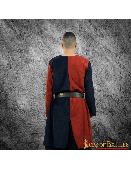 Bouclier héraldique bicolore tabard...