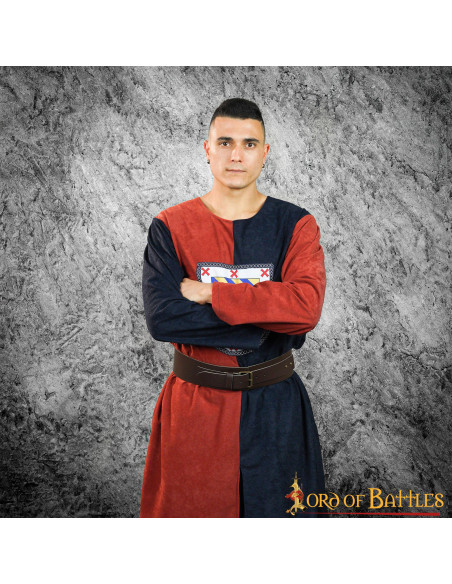 Bouclier héraldique bicolore tabard...