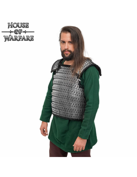 Armure lamellaire Viking Birka en acier