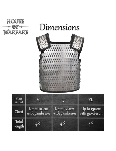 Armure lamellaire Viking Birka en acier