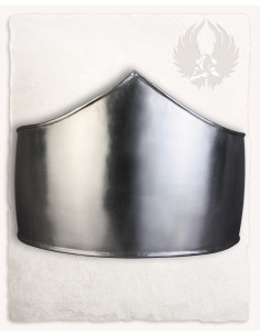 Modèle médiéval Pancera Friederich, finition polie 2