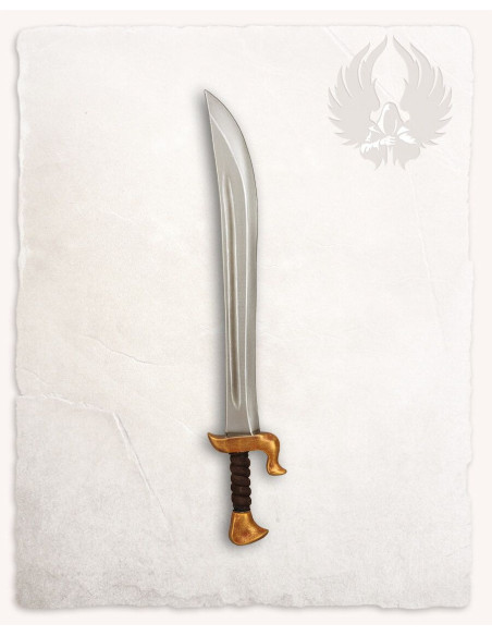 Sabre pirate GN modèle Griffin,...