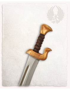 Sabre pirate GN modèle Griffin, finition dorée 2