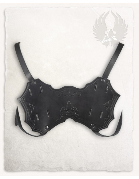 Baudrier Castagir cuir noir dos