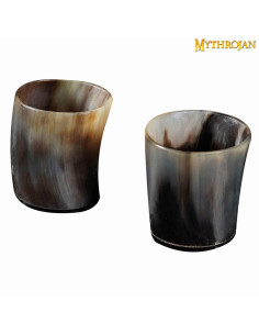 Lot de 2 verres à shot Viking, corne de taureau
