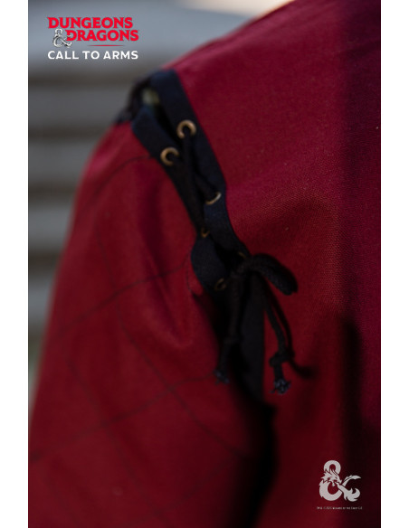 Tunique de guerrier médiéval,...