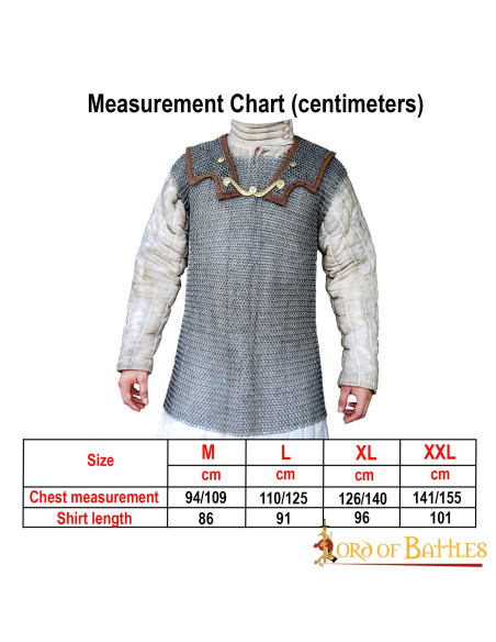 Lorica Hamata en treillis d'acier (9...