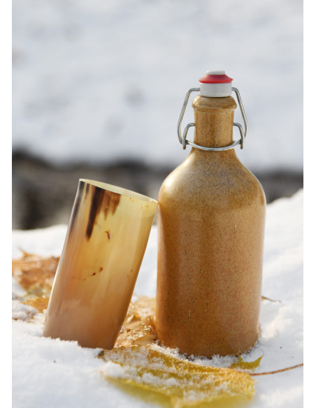 Verre Viking sans gravures en corne...