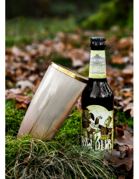 Verre en corne médiéval avec bord en...