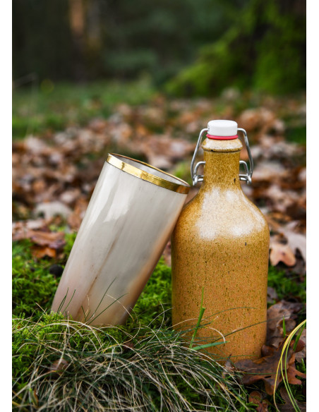 Verre en corne médiéval avec bord en...