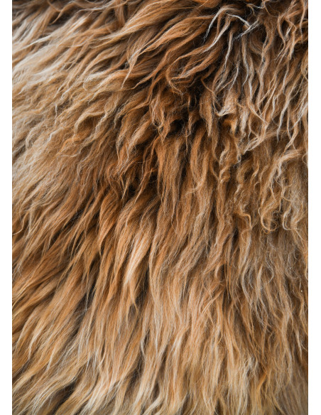 Peau de Berserker marron pour...