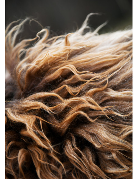 Peau de Berserker marron pour...