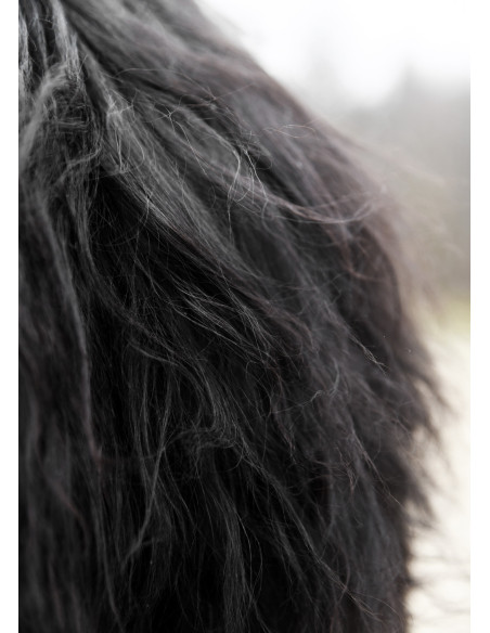 Peau de Berserker noire pour...