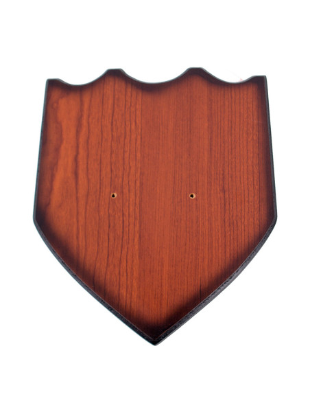 Épée médiévale avec support Robin des...