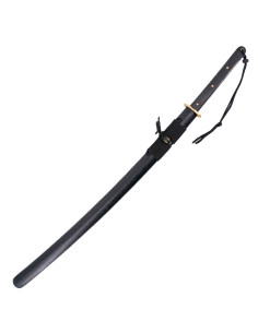 Pratiques de base du katana noir, lame en acier au... 2