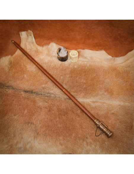 Canne modèle Steampunk avec...