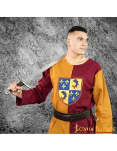 Tabard bouclier héraldique médiéval bicolore,...