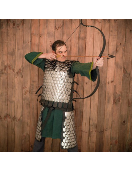 Cuirasse en écailles de guerrier...