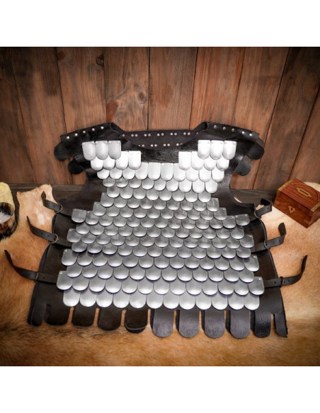 Cuirasse en écailles de guerrier...