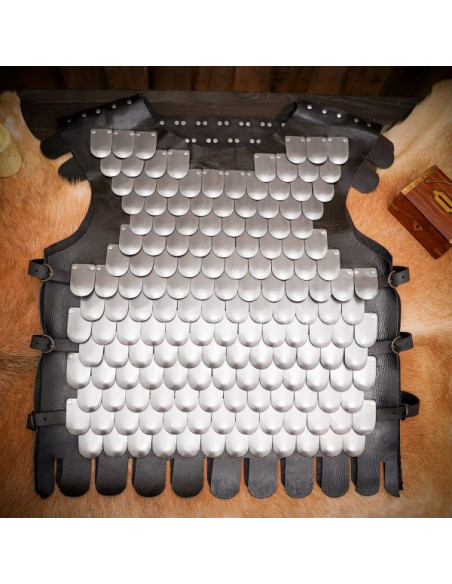 Cuirasse en écailles de guerrier...