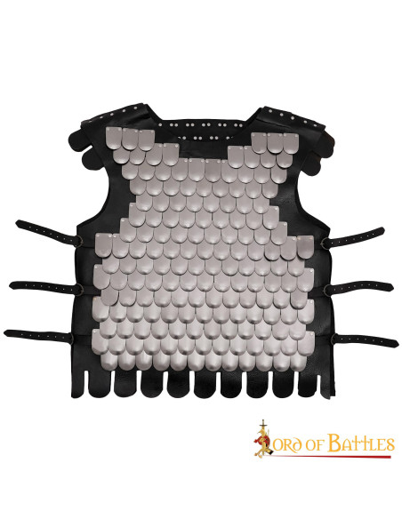 Cuirasse en écailles de guerrier...