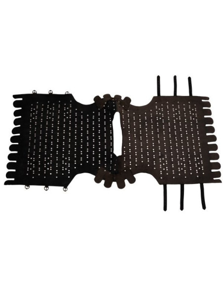 Cuirasse en écailles de guerrier...