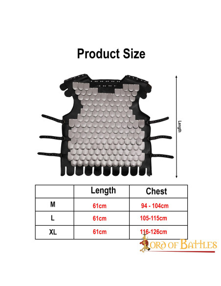 Cuirasse en écailles de guerrier...