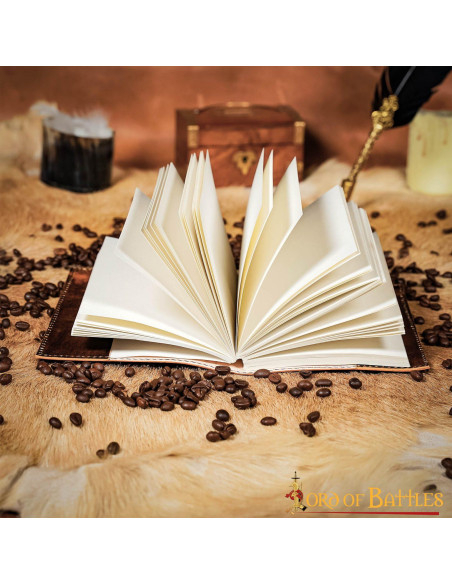 Journal médiéval celtique sanglier...