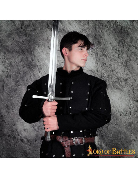 Brigandine noire avec plaques...