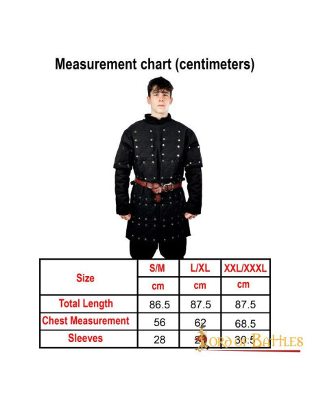 Brigandine noire avec plaques...