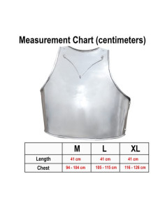 Cuirasse médiévale Churburg italienne 2