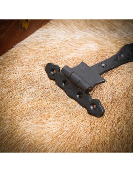 Charnière de porte vintage en fer...