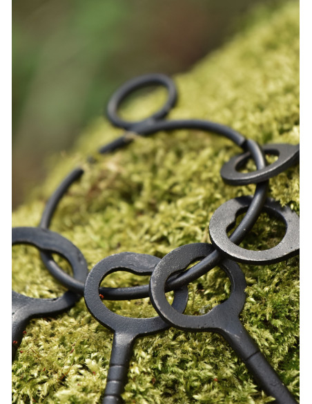 Ensemble de 5 clés et porte-clés de...