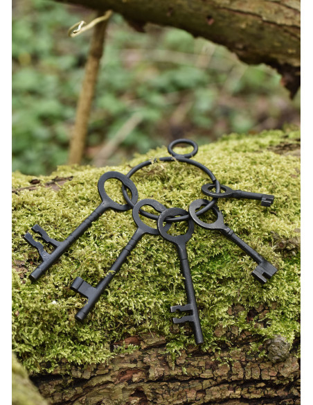 Ensemble de 5 clés et porte-clés de...