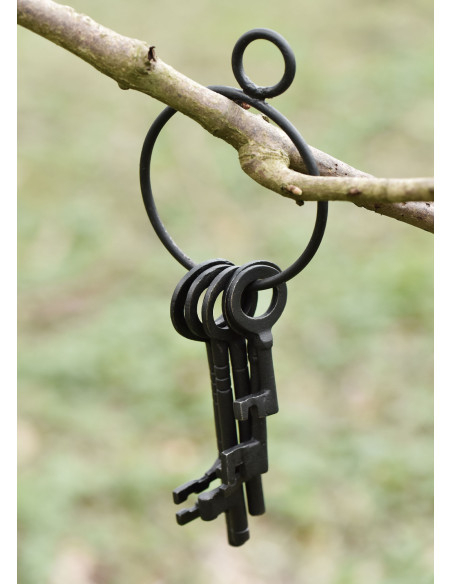 Ensemble de 5 clés et porte-clés de...