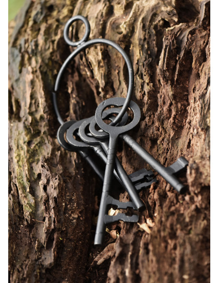 Ensemble de 5 clés et porte-clés de...