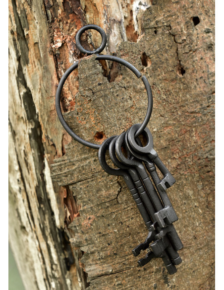 Ensemble de 5 clés et porte-clés de...