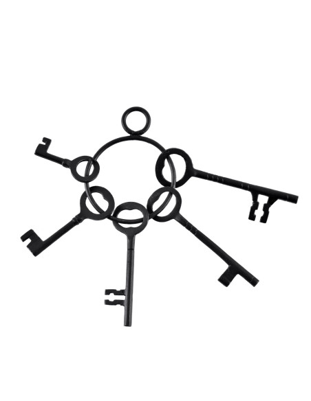 Ensemble de 5 clés et porte-clés de...