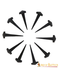 Set 10 clous en fer forgés à la main