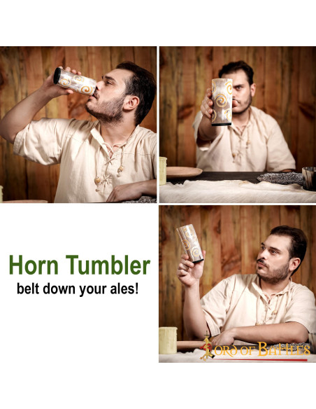 Vaisseau viking en corne de boeuf