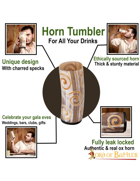 Vaisseau viking en corne de boeuf