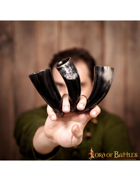 Ensemble de 3 cornes de boeuf viking...