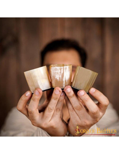 Lot de 3 verres à shooter Viking en...