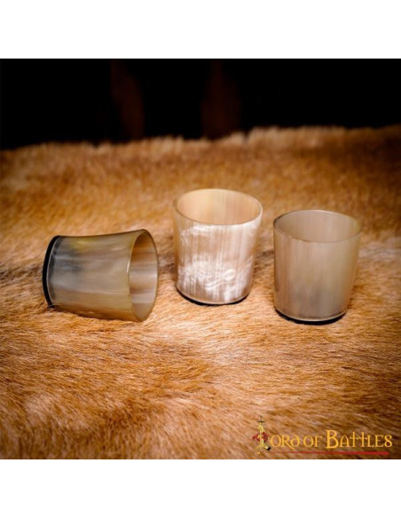 Lot de 3 verres à shooter Viking en...